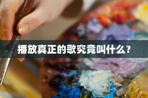 播放真正的歌究竟叫什么？