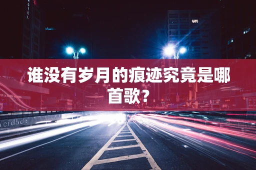 谁没有岁月的痕迹究竟是哪首歌？