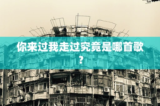 你来过我走过究竟是哪首歌？