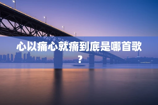 心以痛心就痛到底是哪首歌？