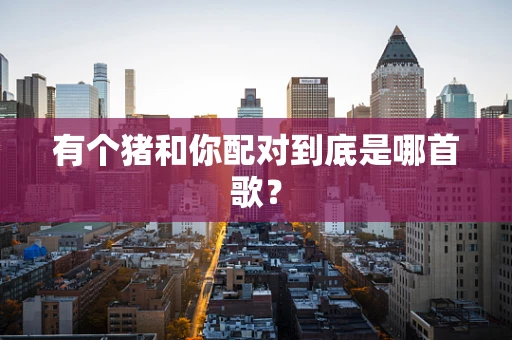 有个猪和你配对到底是哪首歌？