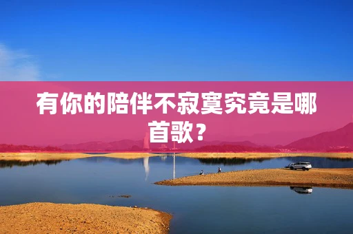 有你的陪伴不寂寞究竟是哪首歌？
