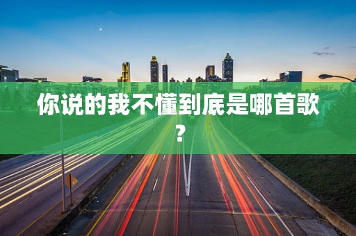 你说的我不懂到底是哪首歌？