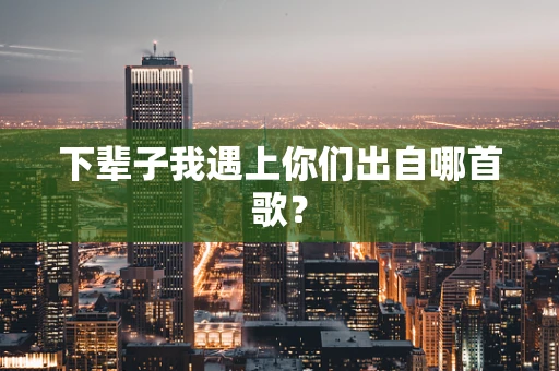 下辈子我遇上你们出自哪首歌？