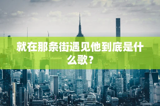 就在那条街遇见他到底是什么歌？