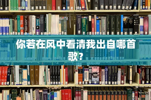你若在风中看清我出自哪首歌？