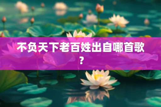 不负天下老百姓出自哪首歌？