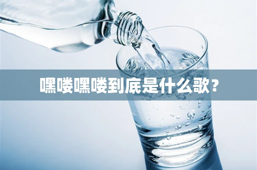 嘿喽嘿喽到底是什么歌？