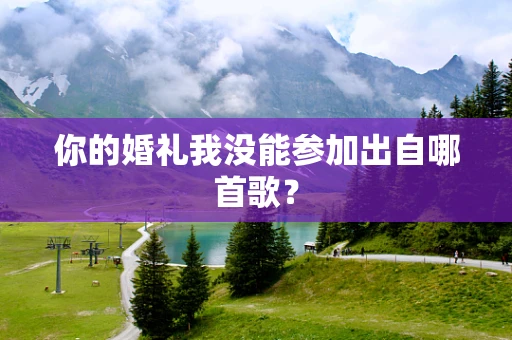 你的婚礼我没能参加出自哪首歌？