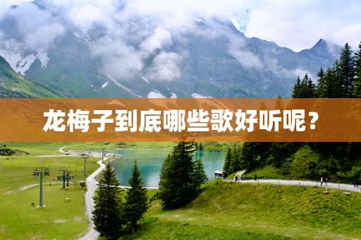 龙梅子到底哪些歌好听呢？