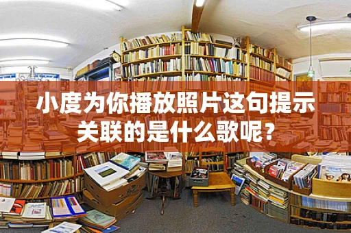 小度为你播放照片这句提示关联的是什么歌呢？