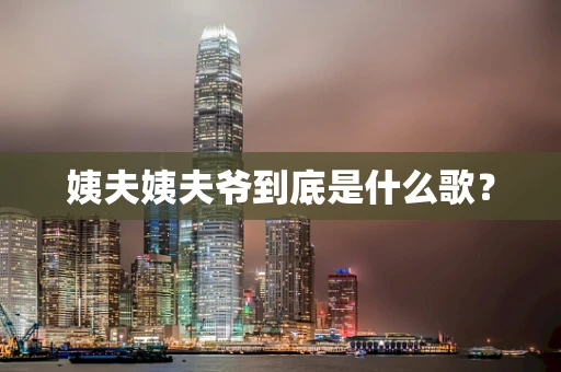 姨夫姨夫爷到底是什么歌？