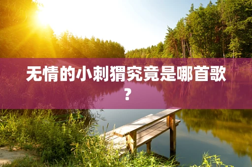 无情的小刺猬究竟是哪首歌？