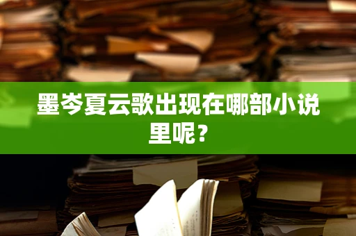 墨岑夏云歌出现在哪部小说里呢？