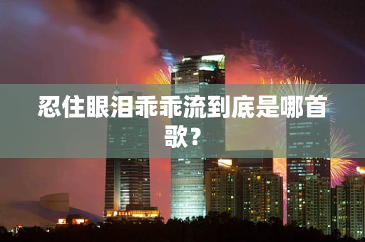 忍住眼泪乖乖流到底是哪首歌？