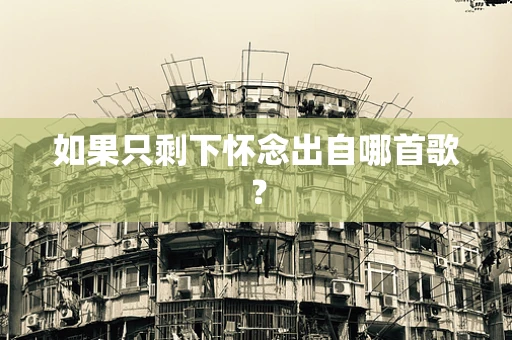 如果只剩下怀念出自哪首歌？