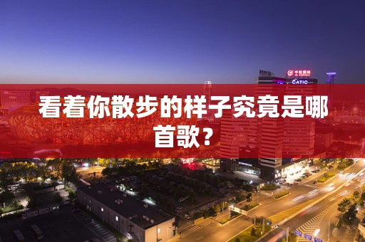 看着你散步的样子究竟是哪首歌？