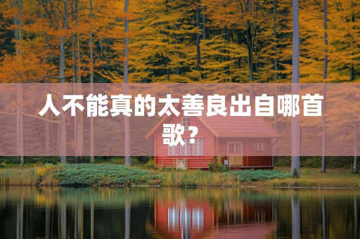 人不能真的太善良出自哪首歌？