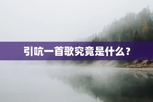 引吭一首歌究竟是什么？