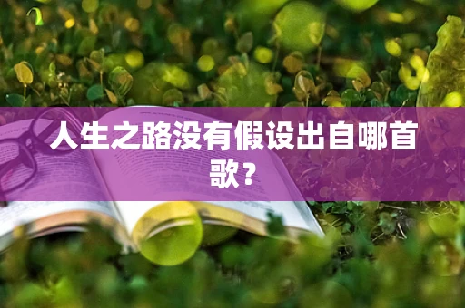 人生之路没有假设出自哪首歌？