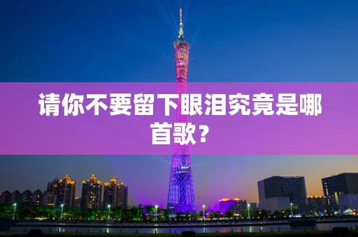 请你不要留下眼泪究竟是哪首歌？