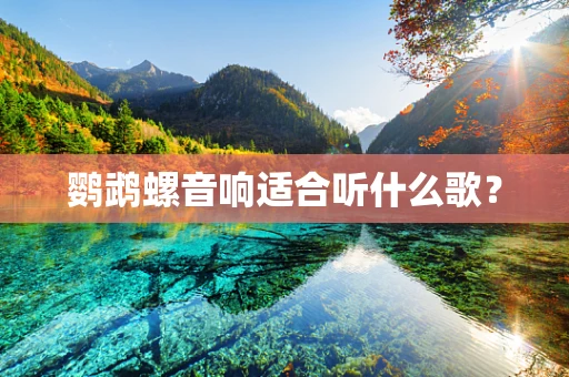 鹦鹉螺音响适合听什么歌？