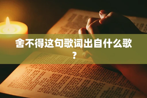 舍不得这句歌词出自什么歌？