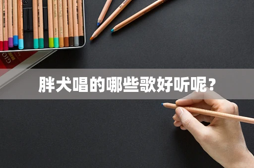 胖犬唱的哪些歌好听呢？
