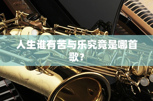 人生谁有苦与乐究竟是哪首歌？