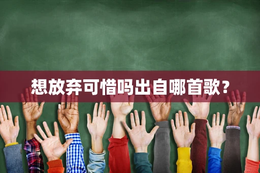 想放弃可惜吗出自哪首歌？