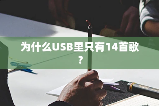 为什么USB里只有14首歌？