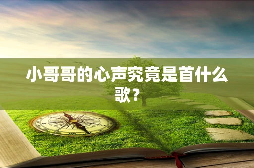 小哥哥的心声究竟是首什么歌？