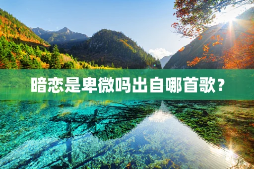 暗恋是卑微吗出自哪首歌？