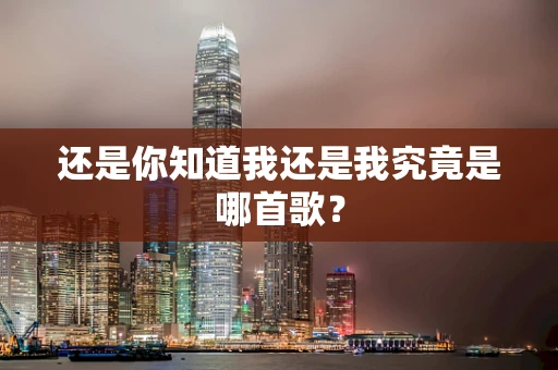 还是你知道我还是我究竟是哪首歌？