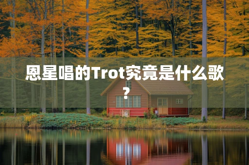 恩星唱的Trot究竟是什么歌？