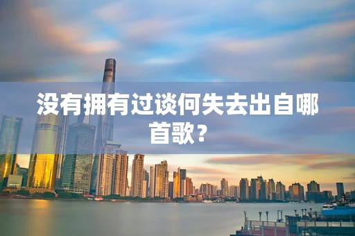 没有拥有过谈何失去出自哪首歌？