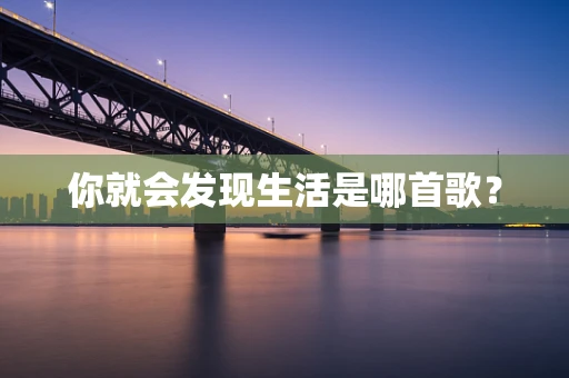 你就会发现生活是哪首歌？