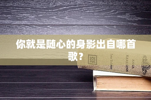 你就是随心的身影出自哪首歌？