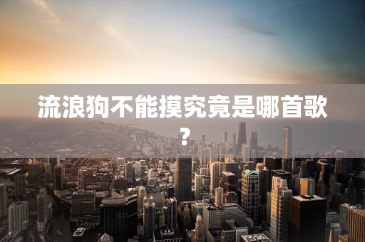 流浪狗不能摸究竟是哪首歌？