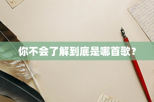 你不会了解到底是哪首歌？