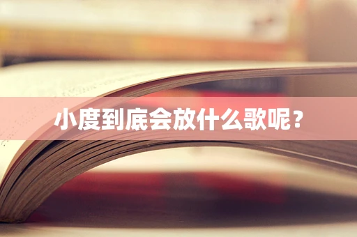 小度到底会放什么歌呢？