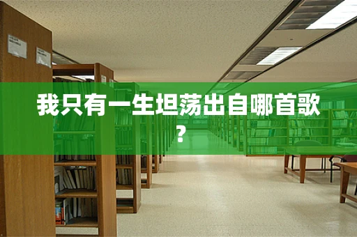 我只有一生坦荡出自哪首歌？