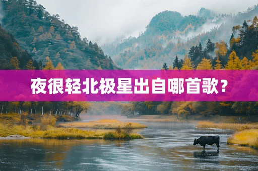 夜很轻北极星出自哪首歌？