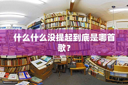 什么什么没提起到底是哪首歌？