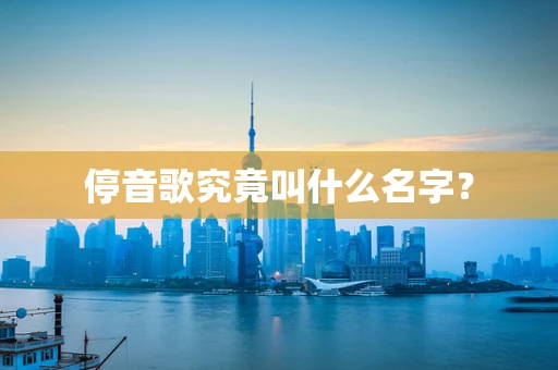 停音歌究竟叫什么名字？