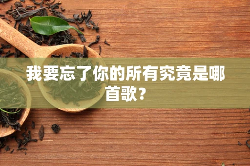 我要忘了你的所有究竟是哪首歌？