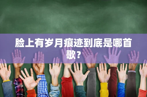 脸上有岁月痕迹到底是哪首歌？