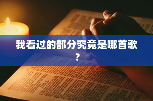 我看过的部分究竟是哪首歌？