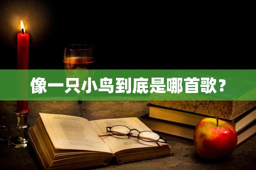 像一只小鸟到底是哪首歌？