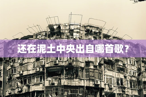 还在泥土中央出自哪首歌？